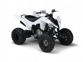 2011 Yamaha YFM250R photo